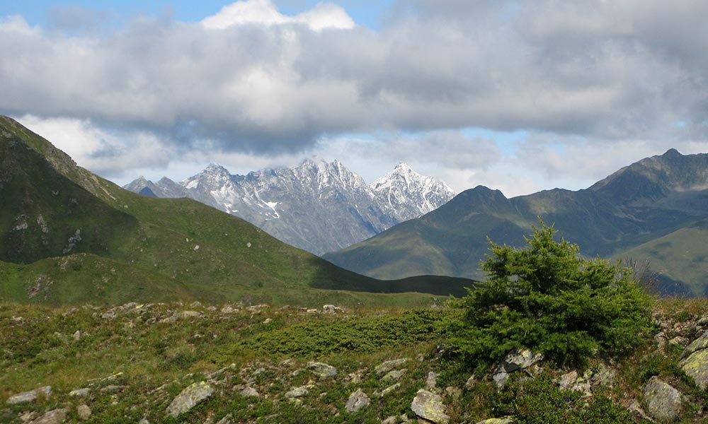 hochalmspitze